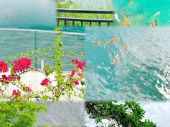 -水濂山森林公园