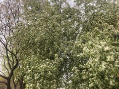 -泰丰公园