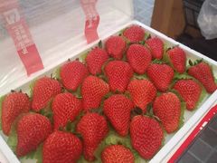 -蜜糖甜品铺(朝一村民公寓店)