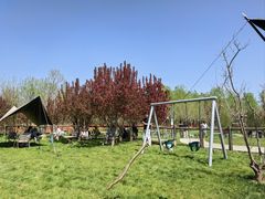 -爪吧宠物乐园 (温榆河示范区店)