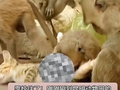 -昆明动物园