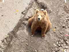 -新疆天山野生动物园