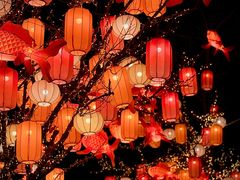 -龙湖星悦荟(颐和店)