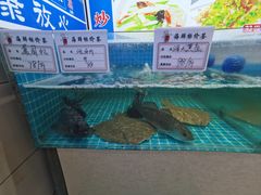 -三合园水饺(二马路店)