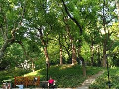 -徐家汇源景区-衡山公园