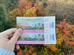 -香山公园