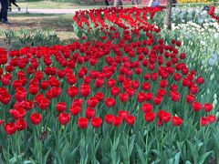 -长春公园(普阳街道)