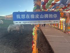 -橡皮山