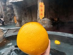 -裕龙汤泉