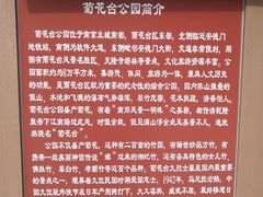 -菊花台公园
