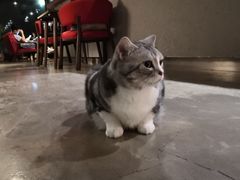 -咖法森林·咖啡  酒吧(天河店)