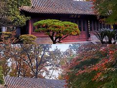 -团城山公园