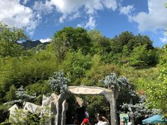 -王顺山国家森林公园