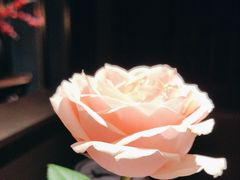 -掌柜的店·河南的菜(世茂店)
