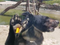 -栾川竹海野生动物园