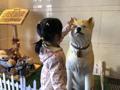 -大江户·温泉洗浴(浑南店)