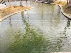 -泰州凤城河风景区-泰山公园