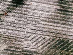 -新加坡Zam Zam餐馆