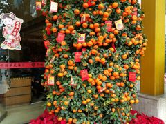 -黄埔华苑酒家(黄埔店)