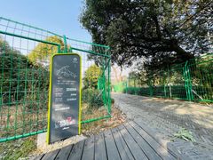 -树山生态村