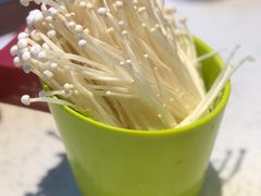 -九府羊·鲜羊火锅·烤串(新华路店)