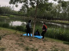 -大兴滨河森林公园