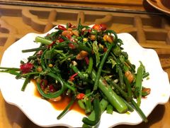水豆豉拌水蕨菜-醉云喃