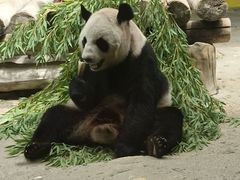 -杭州野生动物世界