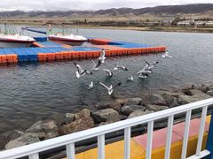 -青海湖国家重点风景名胜区