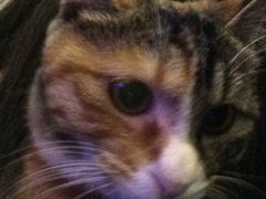 iphone_upload_pic-Sirena海妖日咖夜酒