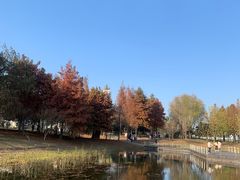 -同里国家湿地公园