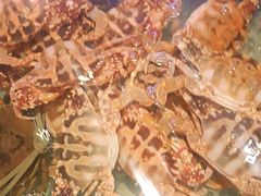 -阿伟海鲜楼·福建菜(延寿店)