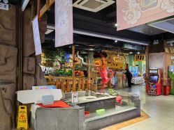 -卡通尼·Safari非洲探索乐园·生日会(金桥国际商业广场店)