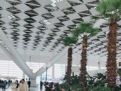 -郑州新郑国际机场