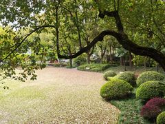 -申粤轩酒楼(丁香花园店)