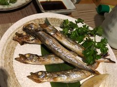 -酒井酱子·深夜食堂(东城汇店)