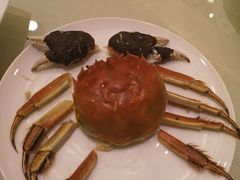 -王宝和酒家(黄浦店)