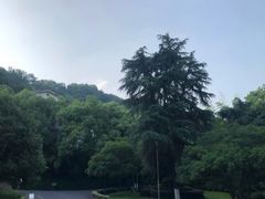 -杭州香格里拉·香宫中餐厅