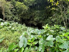 -海口火山口国家地质公园