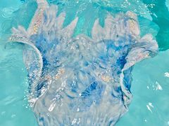 -上海潜殿潜水中心