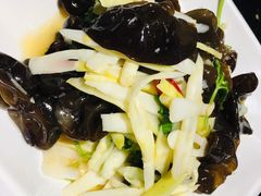生态竹笋拌木耳-清真·锦翔炝锅鱼(明德门店)