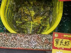 -国家五钻酒家·西樵旺阁渔村(西樵店)