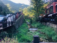 -Local泰莲庭(虹鳟鱼店)