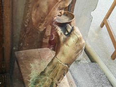-普希金文学咖啡馆