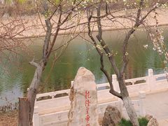 -桃花堤公园