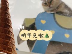 -Dip in Gelato(富民路店)