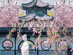 -莫愁湖公园