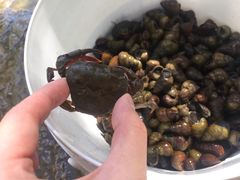 -贵阳市花溪国家城市湿地公园