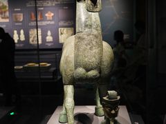 -广西壮族自治区博物馆