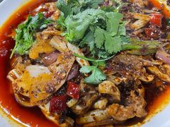 -小杨翘脚牛肉